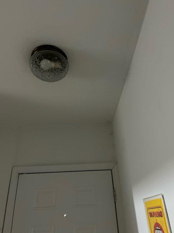 Responded to service call regarding leaking outdoor spigot. Inspected water supply line and valve assembly in utility closet. Identified and replaced worn valve seal, resolving the leak issue. Tested water flow and pressure to ensure proper function of the outdoor spigot.