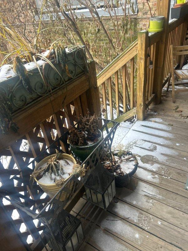 Responded to warranty service call for water heater with no hot water issues. Customer reported previous service completed a few weeks ago. Upon arrival, diagnosed and restored hot water functionality to power vent water heater.