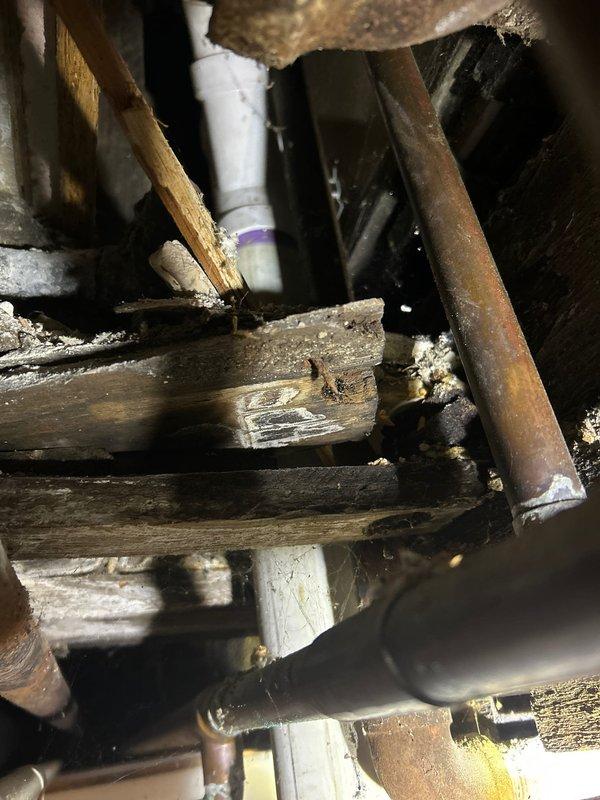 Responded to complaint of leaking sink pipes causing water damage in basement. Upon inspection, discovered deteriorated piping connections with visible corrosion and water damage to surrounding wooden joists. Replaced affected sections of plumbing with new PVC pipe, including installation of proper coupling joints to ensure watertight connections. Verified system integrity with pressure test after repairs were completed.