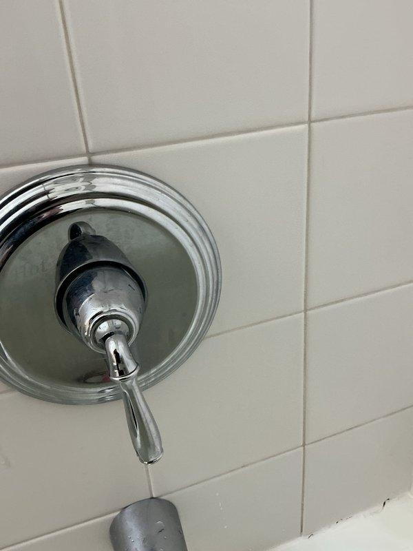Responded to service call for no hot water issue with Kohler shower valve. Diagnosed and serviced the single-lever shower control mechanism. Successfully restored hot water functionality to the shower fixture.