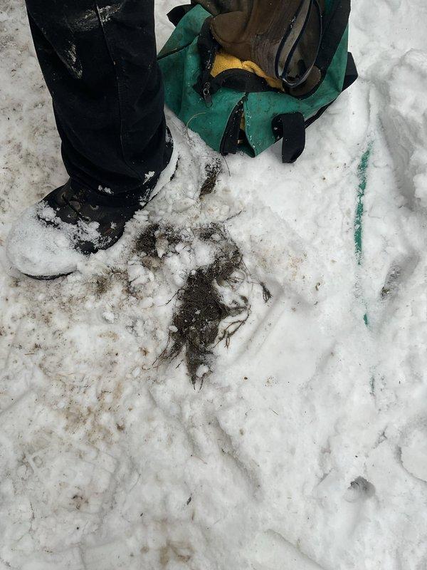 Responded to emergency call for sewage backup in customer's bathtub. Inspected the plumbing system and located access point in wooden floor. Exterior examination revealed evidence of blockage in the main sewer line. Recommended professional drain cleaning service to clear the obstruction and prevent further backups.