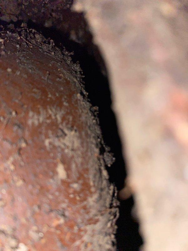 Conducted excavation to expose corroded cast iron sewer pipe for assessment. Documented significant surface deterioration and rust damage on the pipe, which will require replacement as recommended to customer Julio (referred by Jon H.).