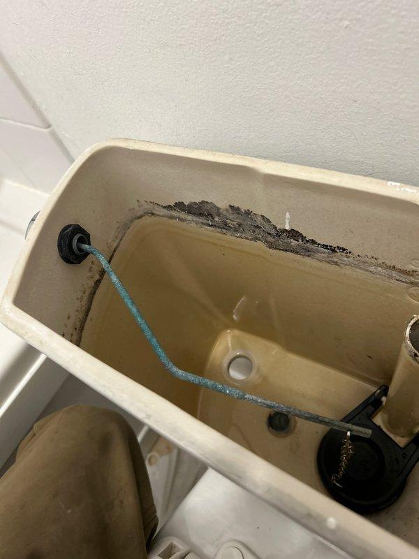 Responded to morning service call for toilet repair. Upon inspection, found deteriorated tank components with significant mineral buildup and discoloration. Replaced 1/2" toilet supply line and serviced the TOTO toilet's flushing mechanism, which showed visible wear on the float valve and internal components.