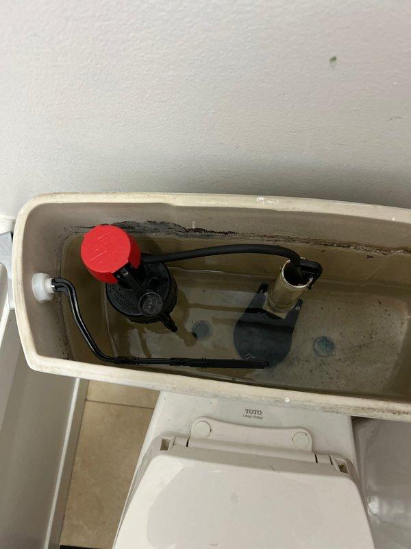 Responded to morning service call for toilet repair. Upon inspection, found deteriorated tank components with significant mineral buildup and discoloration. Replaced 1/2" toilet supply line and serviced the TOTO toilet's flushing mechanism, which showed visible wear on the float valve and internal components.