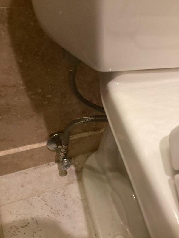 Responded to customer complaint of continuously running toilet. Inspected TOTO flush valve assembly and found worn flapper valve causing water to leak into bowl. Replaced flapper valve and adjusted water level to manufacturer specifications, resolving the running toilet issue. Customer's reported dishwasher leak was documented but not addressed during this service call.