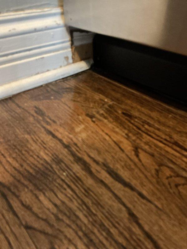 Responded to a water leak report affecting multiple units in a commercial property. Upon inspection, removed ceiling tiles to access the source of the leak, which was causing visible water damage to the suspended ceiling grid system in the business unit below. Identified water intrusion at the wall-floor junction in the unit above, evidenced by moisture damage to the hardwood flooring and baseboard area.