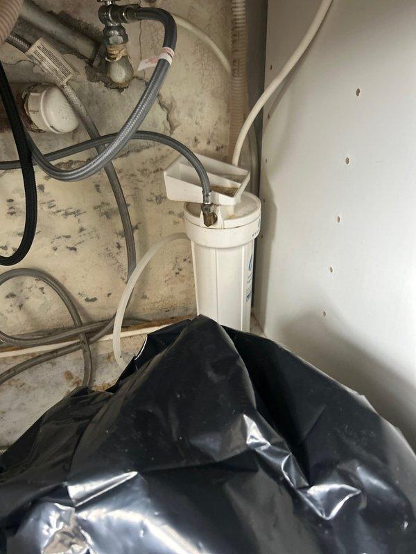 Performed cartridge replacement in bathroom shower fixture and completed kitchen faucet diagnostic. Successfully rodded lavatory drain to restore proper flow. Service required building water shutdown during repair process.