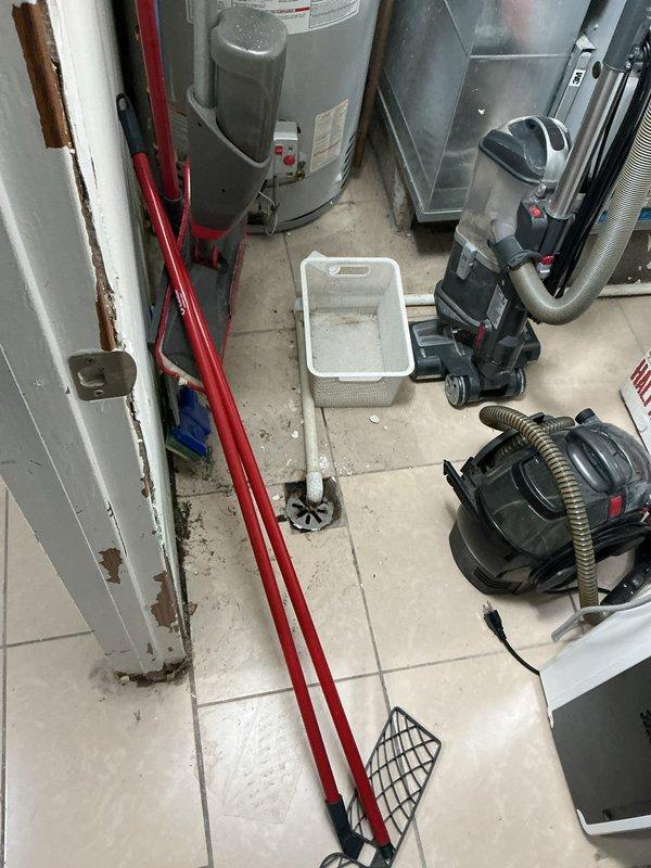 Responded to service call for multiple drain backups affecting toilets, floor drains, shower, and kitchen sink. Visual inspection revealed potential main line blockage affecting multiple fixtures throughout the residence. Bathroom area showed signs of previous backups with water damage visible around fixtures. Recommended main line cleaning to resolve widespread drainage issues.