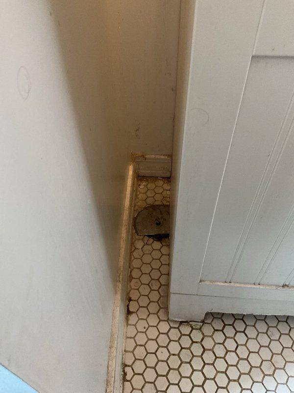 Responded to service request for clogged shower drain affecting sink drainage. Inspection revealed significant buildup in the bathtub drain system with visible staining and discoloration at tub-wall junction. Performed drain cleaning service to clear blockage in the interconnected bathroom drainage system, restoring proper water flow to both shower and sink fixtures.
