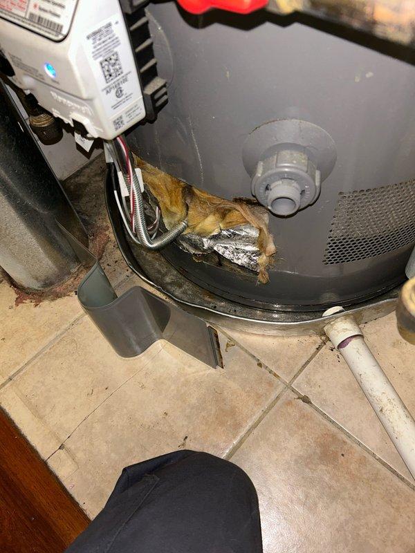 Investigated reported washing machine leak from upper unit affecting customer's residence. Inspected the Rheem Performance water heater system and surrounding plumbing connections. Identified and documented potential leak sources in the mechanical equipment installation, particularly noting moisture indicators around the exhaust vent connection point and insulation material.
