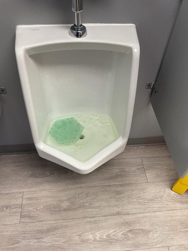 Responded to service call for slow flushing and overflowing urinals in commercial restroom. Diagnosed significant calcium buildup in trapway and drain lines. Successfully descaled system using Calci-Solve concentrated descaler to restore proper flow and flushing capacity.
