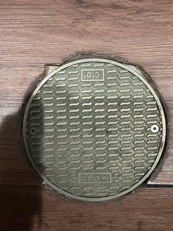 Performed inspection of residential catch basin system and drainage infrastructure. Identified two drain covers (one circular with cross-pattern design, one with standard grate pattern) installed in interlocking pavers, and examined water access utility cover. Provided assessment and recommendations for requested services including catch basin cleaning, mesh cap installation, and long-term options for drain tile modification, ejector pump installation, and potential catch basin removal.