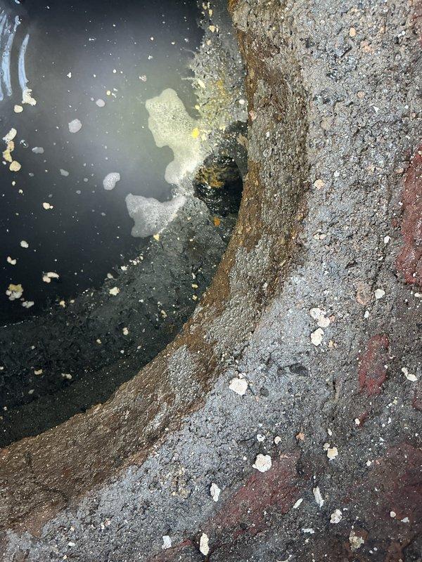 Performed camera inspection of catch basin outlet as requested. Observed significant mineral deposits, debris accumulation, and standing water within the drain pipe. Identified potential blockage requiring rodding service. Documentation photos taken showing pipe interior condition and access point with visible sediment buildup.