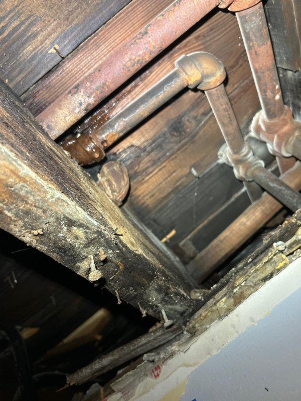 Conducted follow-up inspection of radiator system and associated copper piping. Observed significant oxidation on copper pipes and fittings, with visible deterioration of surrounding wooden structural elements. Photos were taken of affected areas showing corroded connections and potential water damage for estimate preparation.