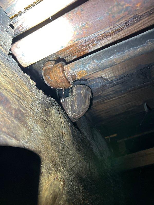 Conducted follow-up inspection of radiator system and associated copper piping. Observed significant oxidation on copper pipes and fittings, with visible deterioration of surrounding wooden structural elements. Photos were taken of affected areas showing corroded connections and potential water damage for estimate preparation.