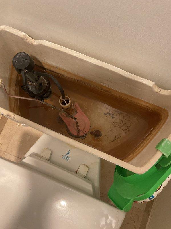 Performed inspection of sump pump system following customer's water restoration company assessment for potential mold issues. Examined toilet tank components showing significant mineral deposits and rust accumulation. Inspected PVC pipe assembly with red valve component and multiple metal hose clamps securing connections, noting proper installation despite surrounding unfinished wall area.