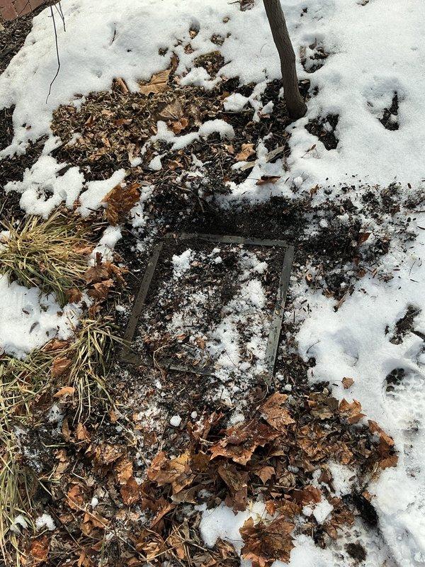 Performed root intrusion investigation on outdoor drain system. Located access point buried under snow and organic debris. Inspected clean-out area but unable to complete snaking procedure due to frozen ground conditions and limited access. Recommended scheduling follow-up service when weather conditions improve to properly clear root blockage and restore optimal drainage.