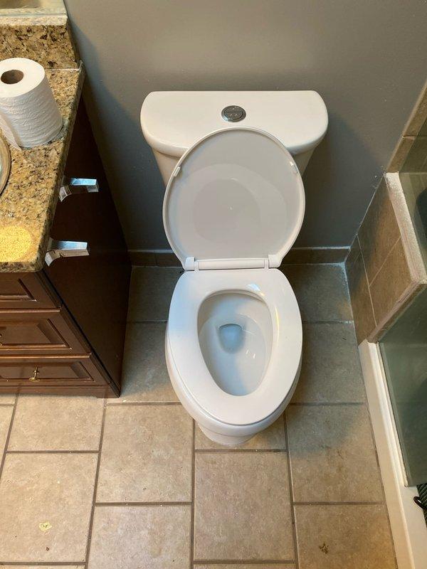Successfully returned to the property to complete the previously sold installation of under-mount sinks. Installed white porcelain toilet and measured ceramic bathroom basin (approximately 15 inches) to ensure proper fit during renovation. All fixtures were verified to be in proper working order before completion.