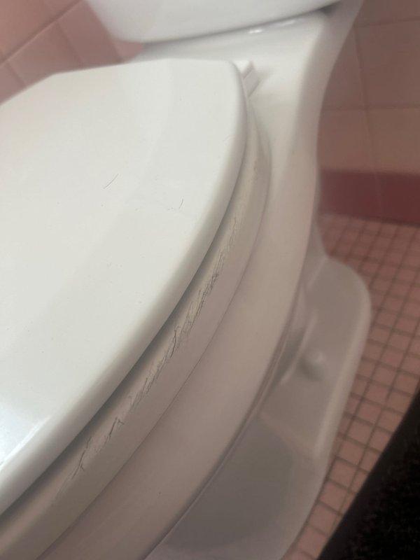 Performed toilet replacement service originally sold by Jon. Upon inspection, identified significant water damage and staining around the existing toilet flange, with visible discoloration extending to surrounding floor tiles. Successfully removed old toilet and wax ring, then installed new toilet fixture with proper sealing to prevent future leakage.