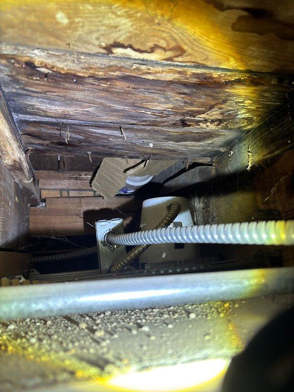 Conducted inspection of reported water leak affecting ceiling. Discovered significant water damage in confined structural space with extensive deterioration of wooden beams and joists showing dark discoloration, warping, and decay. Examination revealed potential ongoing moisture infiltration affecting structural integrity, with evidence of previous water exposure visible on multiple wooden elements.