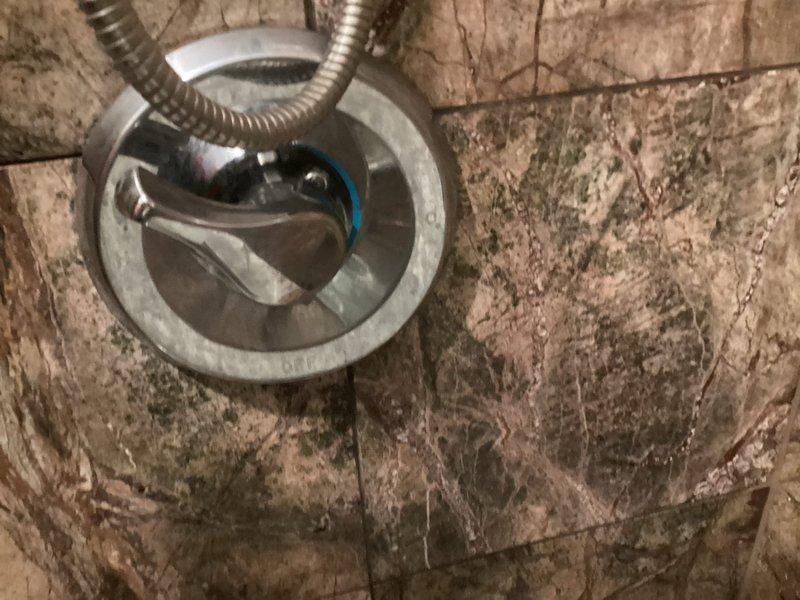 Responded to service call for shower producing loud siren/squeaking sounds. Upon inspection, identified damaged faucet cartridge assembly causing the noise. Removed defective component, installed new replacement cartridge, and verified proper operation with no further noise issues.