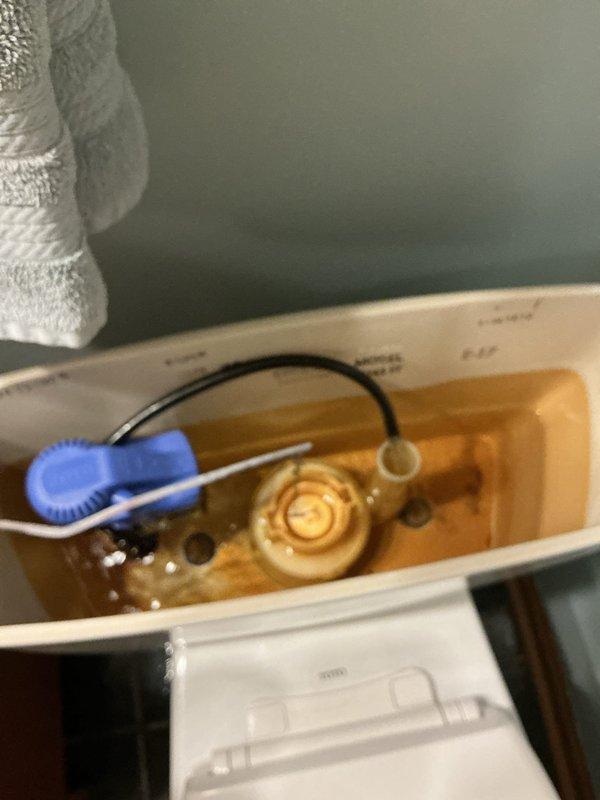 Performed rodding service on bathroom sink and tub drains to clear clogs. Inspected and replaced customer-supplied bathroom faucet. Observed water damage on cabinet floor beneath sink and documented condition of toilet tank components.