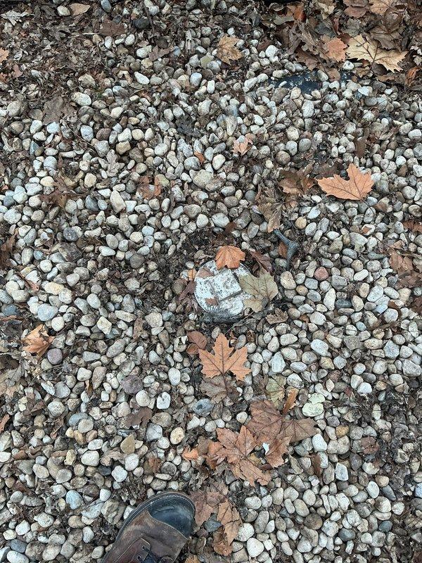 Conducted a comprehensive residential sewer maintenance estimate as requested by the customer who reported no current drainage issues. Visual inspection of the property revealed a gravel-covered area with seasonal debris, and assessment included examination of the exterior drainage system near the driveway where the customer's vehicle was parked. No immediate service requirements were identified during this preventative consultation.
