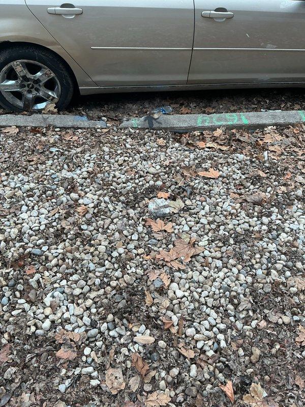 Conducted a comprehensive residential sewer maintenance estimate as requested by the customer who reported no current drainage issues. Visual inspection of the property revealed a gravel-covered area with seasonal debris, and assessment included examination of the exterior drainage system near the driveway where the customer's vehicle was parked. No immediate service requirements were identified during this preventative consultation.