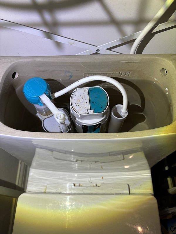 Inspected toilet tank in response to reported leak. Conducted visual examination of flush valve assembly, fill valve with blue cap, and associated plumbing components. Documented mineral deposits and water discoloration indicating potential source of leak. Took diagnostic photos of the toilet mechanism and related plumbing fixtures for assessment.