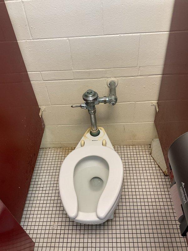 Conducted site assessment of commercial toilet installation in public restroom facility. Documented existing conditions including wall-mounted flush valve system, water staining on tile wall behind fixture, and overall condition of porcelain bowl and U-shaped seat. Provided customer with replacement options based on evaluation of current installation requirements.