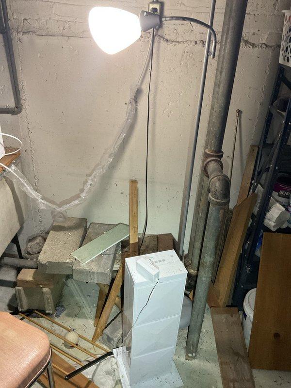 Responded to morning service call regarding clogged catch basin requiring cleaning. Upon inspection, accessed the circular metal drain cover in concrete floor area of basement utility room. Cleaned debris accumulation around perimeter of catch basin to restore proper drainage function.