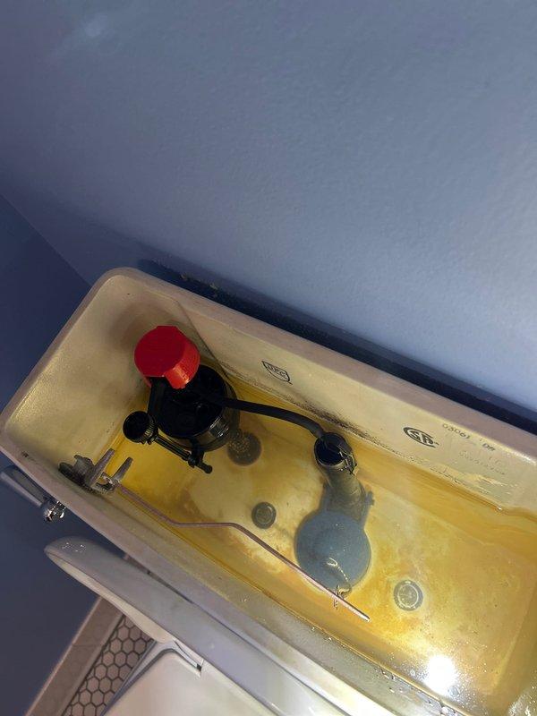 Arrived on site as instructed, accessing property through back entrance after doorbell notification. Performed replacement of toilet flush mechanism, addressing mineral buildup and discoloration in tank. Installed new flush valve assembly with overflow tube, resolving previous functionality issues and completing sold repair as quoted.