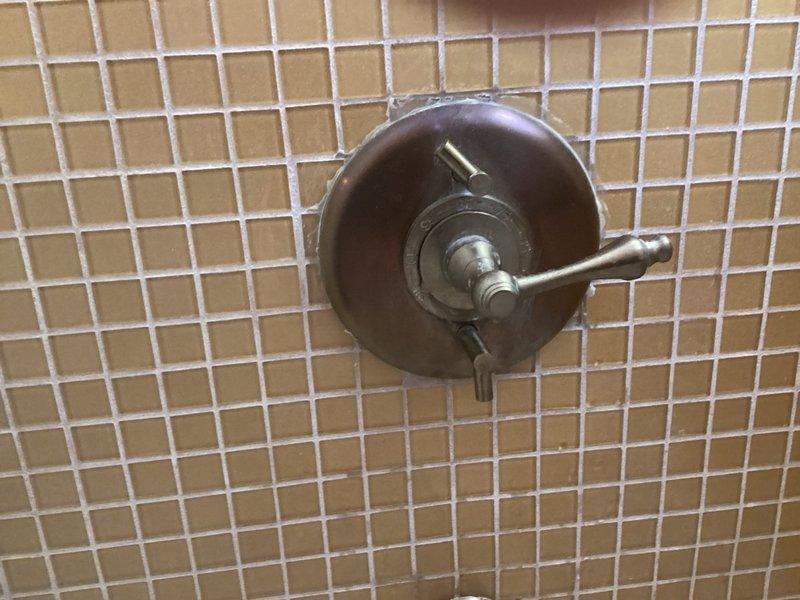 Diagnosed loss of hot water issue in residence. Inspected existing shower fixture which showed signs of age but remained functional. Identified water heater temperature setting at 130°F on electronic control panel, which was functioning properly. Confirmed system operation and restored hot water service.