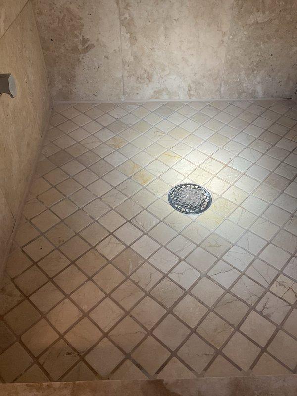 Responded to service call for backed-up shower drain and wheezing shower in 17-year-old condo. Upon inspection, found drain grate clogged with hair and debris accumulation, causing water backup and air pressure issues in pipes. Removed grate, thoroughly cleaned drain system, and restored proper water flow and eliminated shower noise.