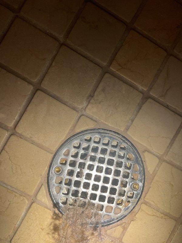 Responded to service call for backed-up shower drain and wheezing shower in 17-year-old condo. Upon inspection, found drain grate clogged with hair and debris accumulation, causing water backup and air pressure issues in pipes. Removed grate, thoroughly cleaned drain system, and restored proper water flow and eliminated shower noise.
