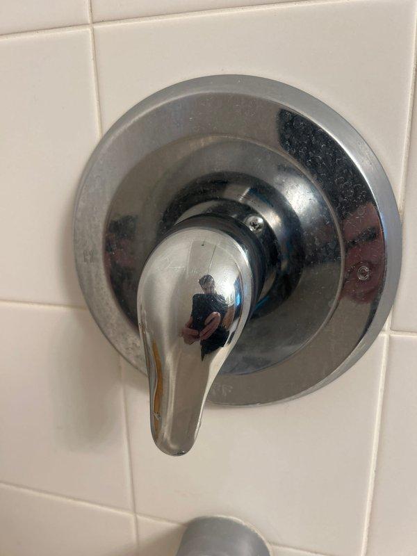 Responded to afternoon service call regarding bathroom faucet that would not shut off completely, an issue reported to be ongoing for approximately 2 months. Upon inspection, found water continuously running from chrome single-handle shower/bath fixture mounted on tiled wall and bathroom sink faucet. Repaired faulty valve components, adjusted water pressure, and verified complete water shutoff at both fixtures.
