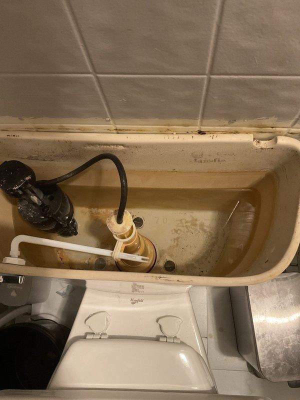 Diagnosed and repaired continuously running toilet in upstairs bathroom that was failing to properly evacuate waste. Removed significant mineral buildup from internal tank components and replaced deteriorated flush valve assembly, restoring proper flushing functionality and eliminating water waste.