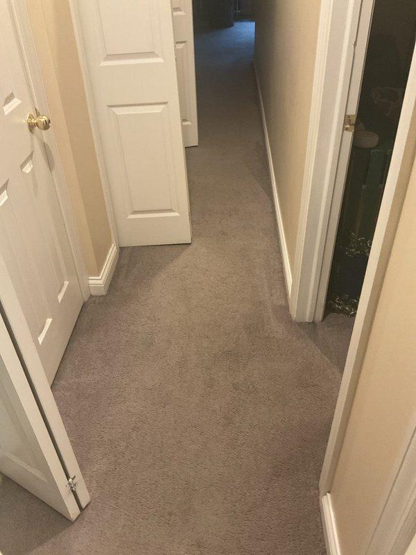 Responded to recurring drainage backup issue in 30-year-old residence, where slow drain had been problematic for approximately 18 months. Accessed main drain cleanout located in utility area beneath the building, performed thorough cleaning and removed obstructions to restore proper drainage function.