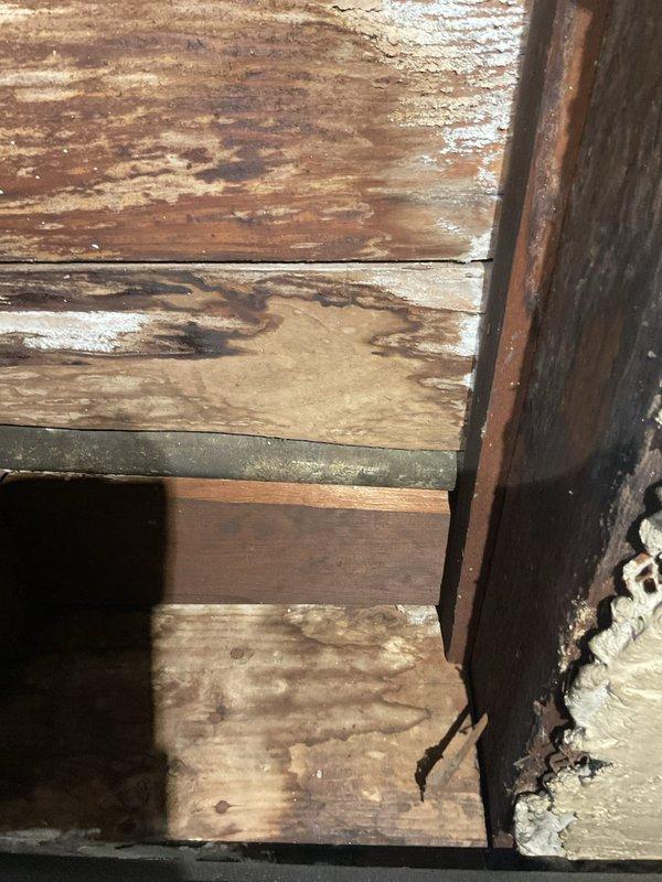 Responded to service call for bathroom sink slow drainage which resulted in sewage backup into bathtub. Upon inspection, discovered significant water damage to wooden structural elements and joists beneath the bathroom, with visible deterioration, staining, and potential rot. Examination of the copper plumbing system revealed oxidation at connection points, indicating long-term moisture exposure that likely contributed to the clog and subsequent backup issues.