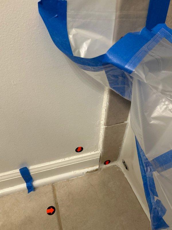 Conducted a comprehensive water leak detection inspection in response to customer's mold concerns. Utilized electronic leak detection equipment to identify and mark potential leak sources with red indicator dots at wall-floor junctions and along baseboards. Findings suggest moisture intrusion at marked locations, requiring further remediation to address both the water source and existing mold issues.
