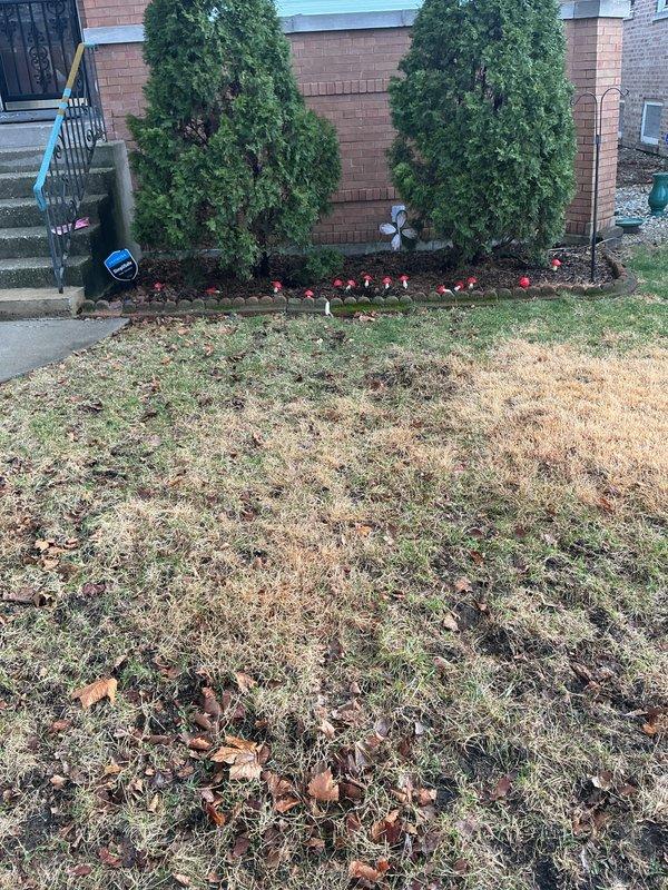 Performed follow-up inspection of residential property on behalf of colleague. Documented front yard conditions with photographs, including landscaping features, walkways, and current lawn state. No visible plumbing issues were identified in the exterior assessment.