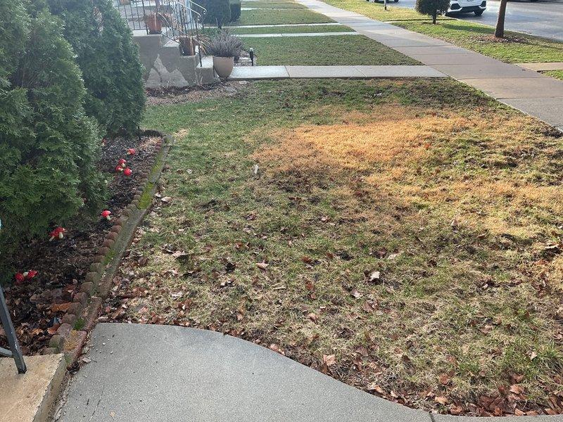 Performed follow-up inspection of residential property on behalf of colleague. Documented front yard conditions with photographs, including landscaping features, walkways, and current lawn state. No visible plumbing issues were identified in the exterior assessment.