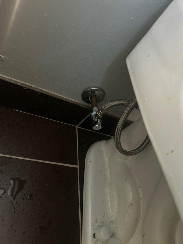 Completed building water shut-down service as scheduled. Inspected toilet tank components showing mineral buildup and aging parts, and verified proper function of bathroom fixture shut-off valve. All water supply lines and valves confirmed operational for future service.