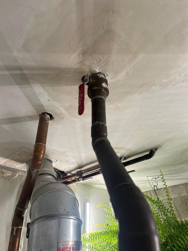 Conducted inspection of a 100-gallon commercial water heater (2016 model) exhibiting multiple critical failures including pilot light ignition issues, leaking circulation pump, vent stuck in open position, and water leakage from tank bottom. Visual inspection confirmed water damage on ceiling near installation and compromised pipe penetrations. Provided comprehensive replacement estimate for the failing unit.