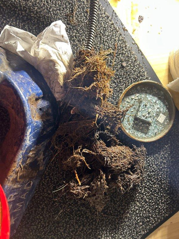 Performed disposal installation as scheduled. Conducted drain camera inspection which revealed root intrusion in the sewer line. Successfully removed root mass from the drain using drain snake/rodding equipment, restoring proper flow to the plumbing system.