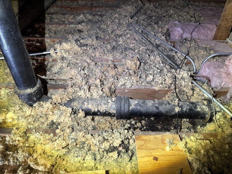 Inspected vent stack in attic where black pipe had blown out causing a leak through the hallway ceiling. Documented damaged pipe connection and surrounding conditions, including disturbed insulation around the plumbing system. Evaluation confirmed need for vent stack repair to resolve the active leak.