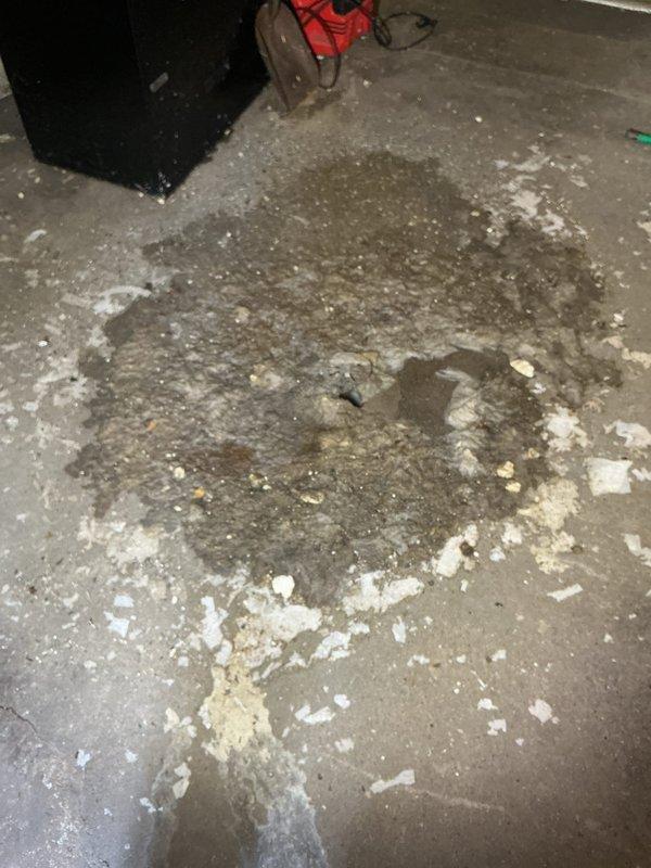 Responded to service call for sewage backup in basement floor drains. Inspection revealed water damage on concrete basement floor with visible staining and debris. Located and examined exterior sewer cleanout access point in garden area; determined gate valve was malfunctioning, causing backup issues. Rodded main sewer line to restore proper drainage function.