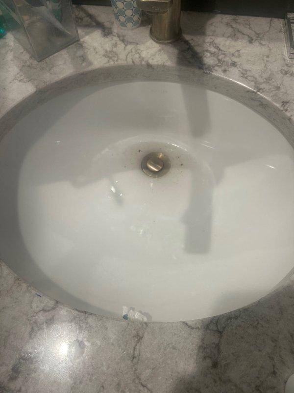 # Service Report

Responded to service call for slow-draining bathroom sink on second floor. Upon inspection, identified clog in the drain assembly of the undermount ceramic sink. Applied professional-grade Liquid-Plumr clog destroyer gel to dissolve organic buildup and restore proper drainage. Verified drain flow was restored to normal operation. Customer also reported water heater not producing hot water on an approximately 8-year-old unit, which may require flushing to remove sediment buildup affecting heating efficiency.