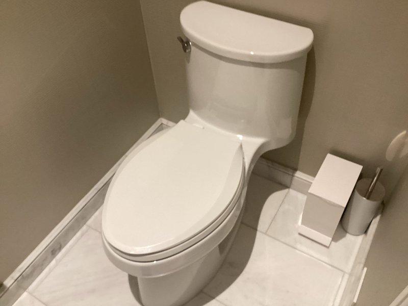 Responded to service call for multiple plumbing issues in residential condo unit. Addressed slow-filling toilet that was taking approximately two minutes to complete fill cycle and producing excessive noise after flushing. Inspected guest bathroom faucet experiencing persistent dripping at approximately 15-second intervals. Documented conditions of bathroom fixtures including standard two-piece toilet installation and wall-mounted three-piece faucet assembly with cross-handle valves. Washing machine servicing also requested as part of comprehensive plumbing maintenance visit.