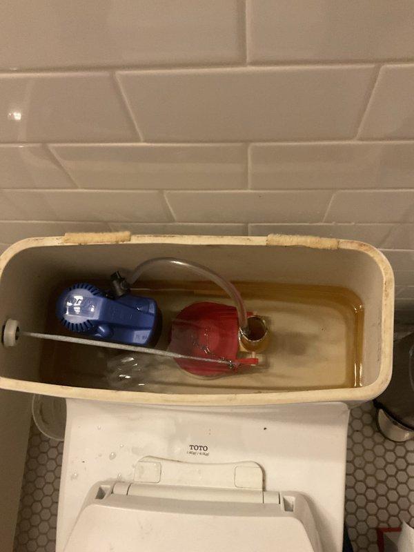 Inspected shower system with multiple chrome fixtures including dual rainfall showerheads, handheld wand with slide bar, and temperature control valves to verify proper operation. Examined toilet tank components including fill valve and flapper assembly, noting discolored water and mineral deposits indicating potential maintenance needs for optimal flush performance.